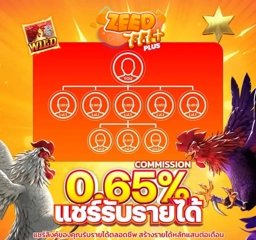 โปรโมชั่น1